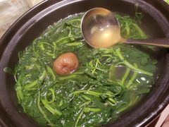上汤西洋菜-陶陶居海鲜酒家(新马路店)