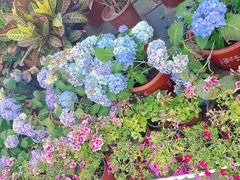 -永定河休闲森林公园