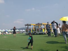 -光明小镇欢乐田园