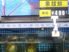 -青岛蓝海大饭店·渔歌舫(李沧店)