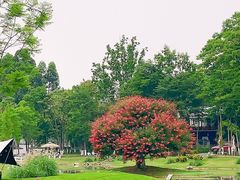 -夏河溪乡野公园