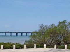 -宝安西湾红树林湿地公园