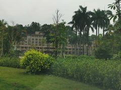 -南国桃园旅游度假区