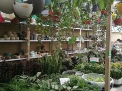 -秦美花卉(天朗·莱茵小城2期店)