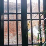 氛围感餐厅大赏 餐厅的环境氛围感很好，依窗外望
