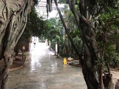 -龙达温泉生态城