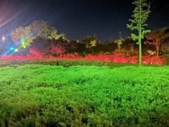 -安阳东站