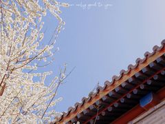 -雍和宫
