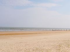 -日照海滨国家森林公园