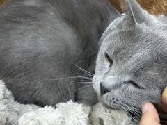 -小板凳(四公里店)