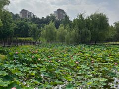 -沐仙湖湿地公园