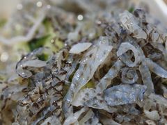 -老九圆山西面馆(CBD店)