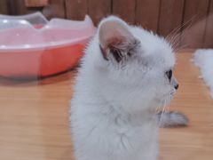 -龟与熊猫宠物公园(南坪店)