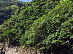 iphone_upload_pic-雅鲁激流探险漂流