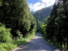 -武陵山森林公园