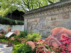 -上海醉白池公园
