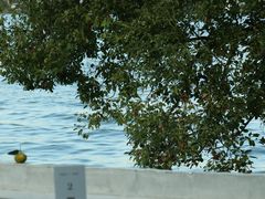 -东钱湖旅游度假区