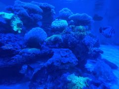 -上和臻品中国菜(花园街店)