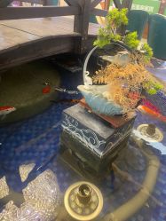 -重庆军科整形美容医院