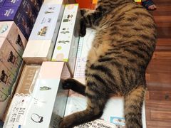 -猫的天空之城概念书店(杭州南宋御街店)