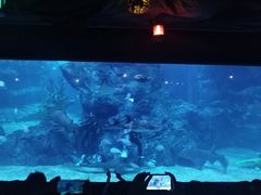 -暹罗海洋世界