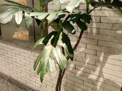 -花家怡园HUA'S RESTAURANT(崇文门·哈德门广场店)