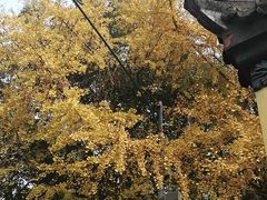 -宝光寺