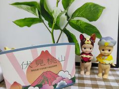 -伏小桃(明瓦廊店)