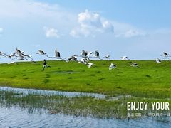-黑龙江扎龙生态旅游区