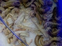 皮皮虾-海天牧场(银川商城店)