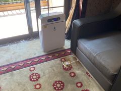 -星河湾半岛酒店-真粤中餐厅