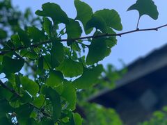 -阳朔糖舍酒店·糖舍餐厅&酒吧