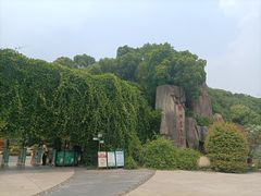 -新洲生态园
