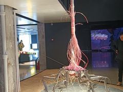 -现代汽车文化中心 Hyundai Motorstudio Beijing