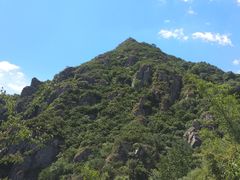 -阳台山自然风景区