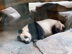 -宁波野生动物园