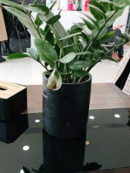 -原素造型