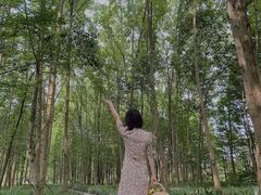 -桤木河湿地公园