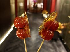 -羲和雅苑•北京烤鸭(平安国际金融中心店)