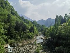 -青城山