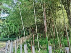 -新虹桥中心花园