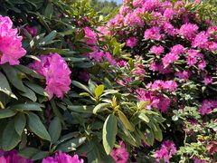 -名花谷生态庄园