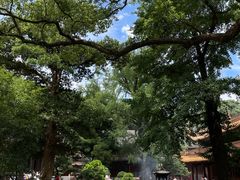 -普陀山风景名胜区-法雨禅寺
