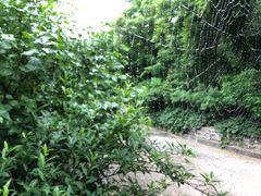 景点-阳台山自然风景区