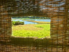 -华侨城湿地公园