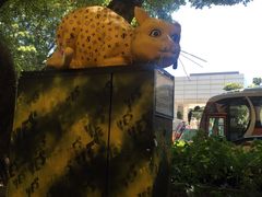 -利强记北角鸡蛋仔(弥敦道店 )