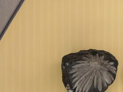 -湖南省地质博物馆