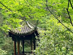 -虎跑公园