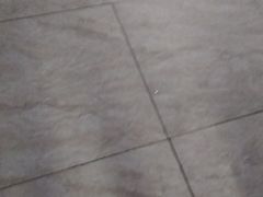 -特味村大酒店(南三环店)