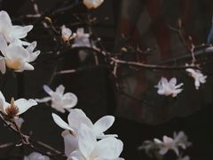 -常熟路(地铁站)